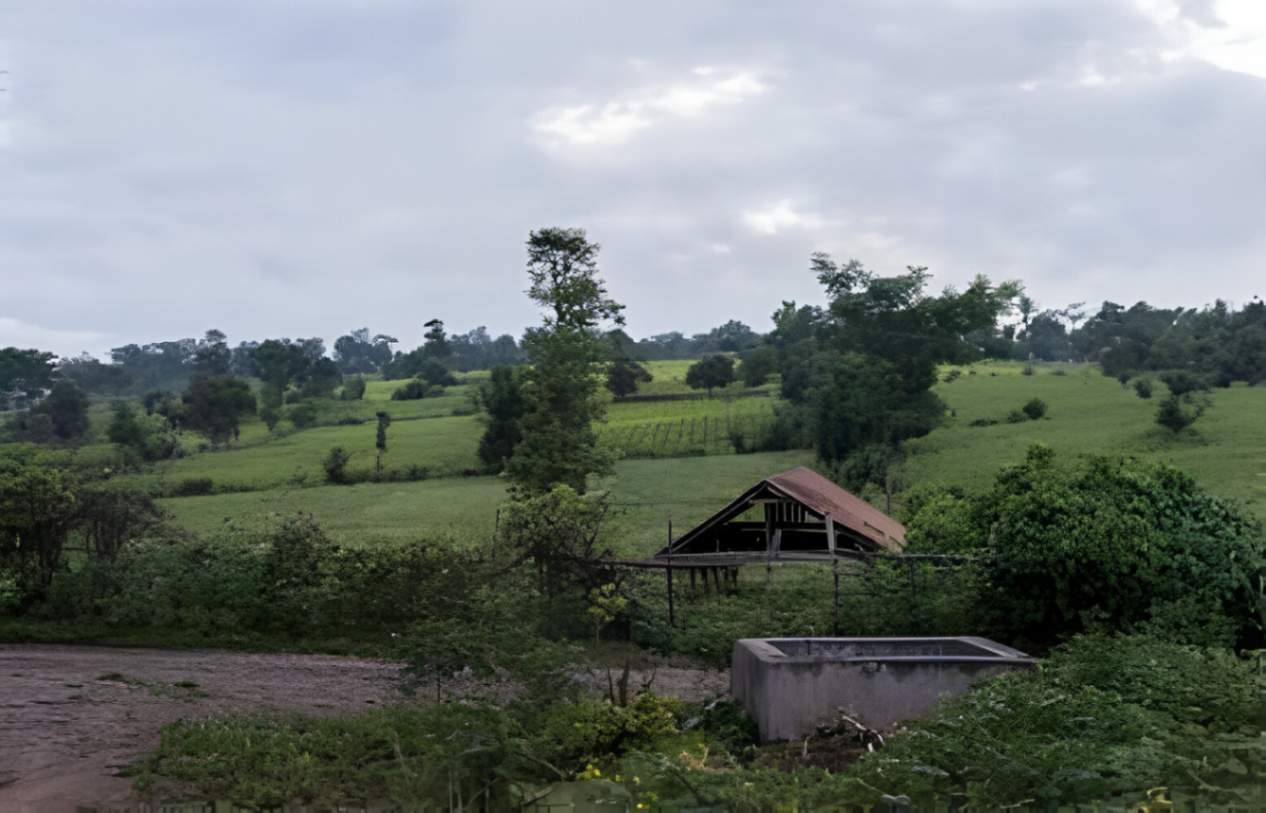 Coffee hills of Coorg in Karnataka