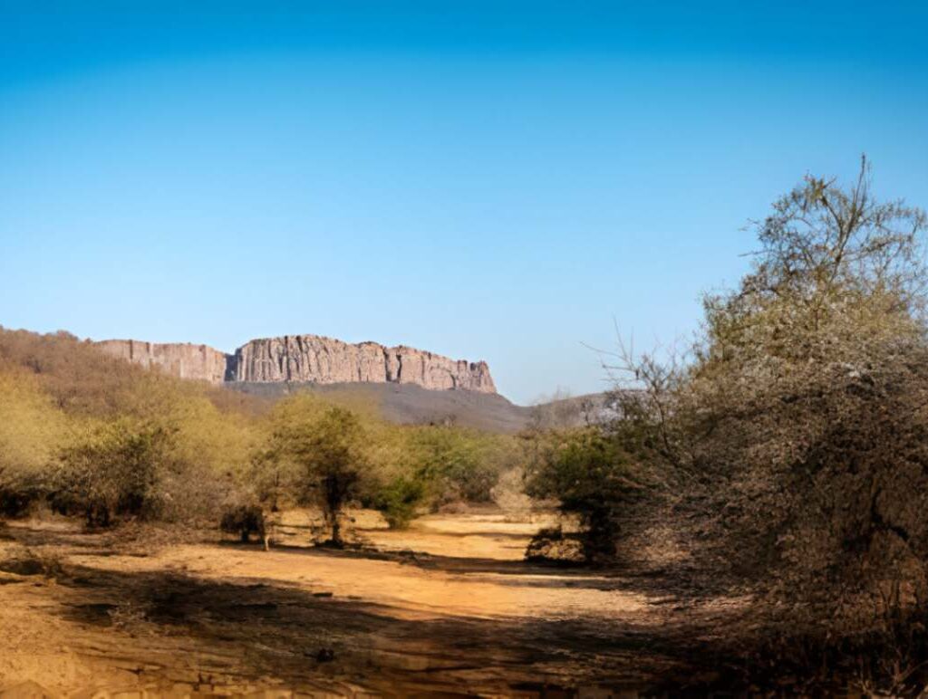 ranthambore