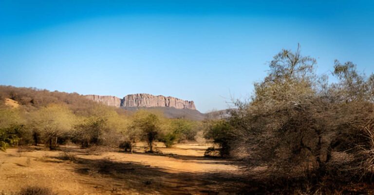 ranthambore