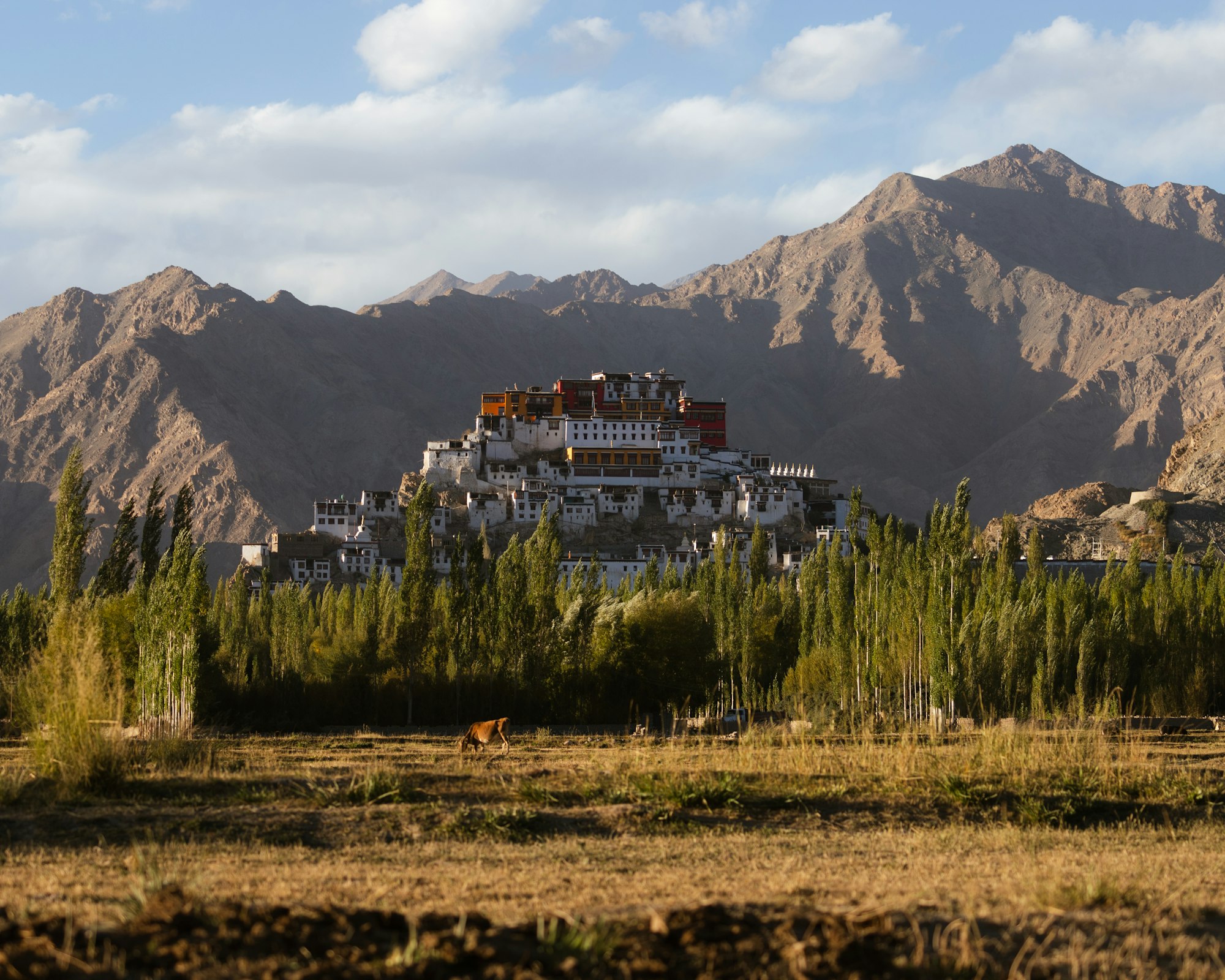 Thiksey Monastery in Ladakh, best visited from late May to September